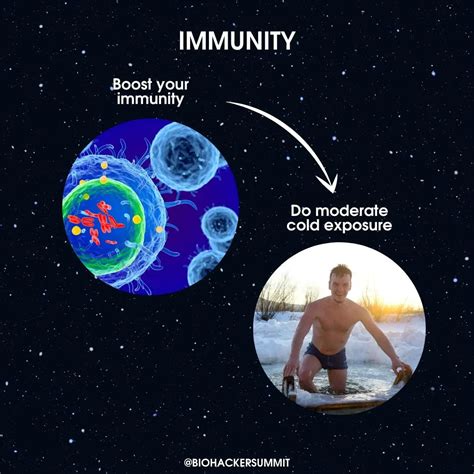 Top 3 Technological Interventions For The Immune System Biohacker