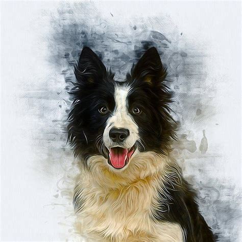 Border Collie Nature Drawing Dog Drawing Herding Dogs Breeds Drawing