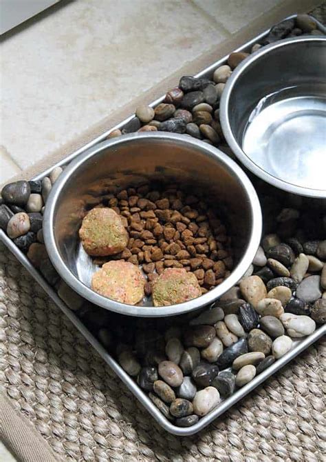 Reviews on dog food can be viewed on the website dog food analysis website. Homemade Raw Dog Food - How to Make A Raw Dog Food Recipe