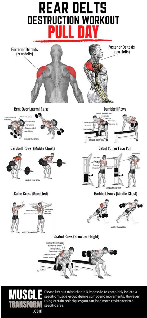 10 Rear Delts Shoulder Workout To Stimulate Growth Deltoid Workout