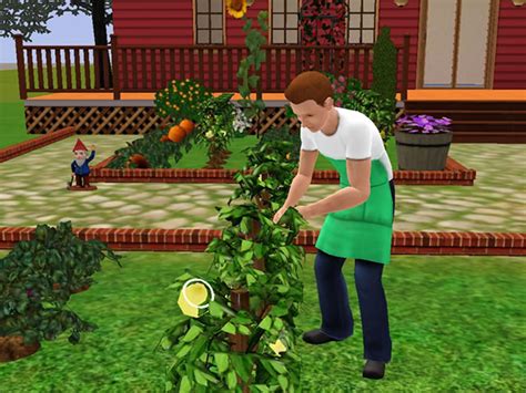 Maybe you would like to learn more about one of these? Sims 3 Gardening Mods | Fasci Garden
