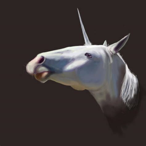 Arabian Unicorn By Surreallity On Deviantart