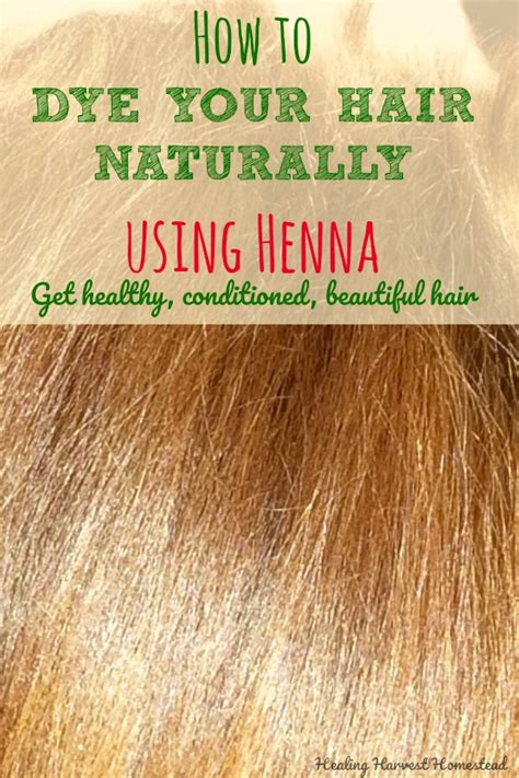 How To Dye Your Hair Naturally With Henna Plus An Update About Henna