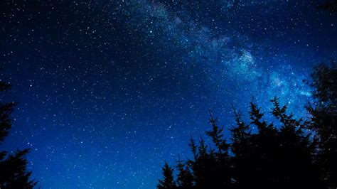 Download Wallpaper 1366x768 Starry Sky Night Stars Glitter Trees