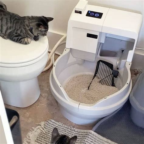 Catgenie Self Washing Self Flushing Cat Box Cat Box Cat Genie Cats