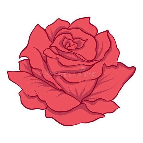 Isolated Red Rose Stock Vector Illustration Stock Vector