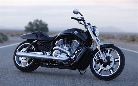 🔥 Download Davidson Vrscf V Rod Muscle Next Wallpaper Harley By