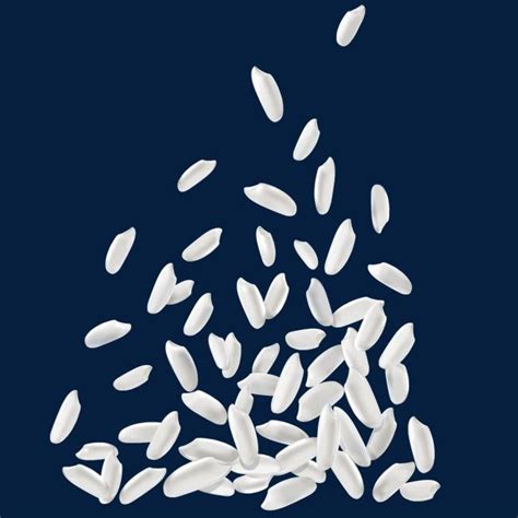 White Rice Vector Png Rice Drawing Rice Sketch Rice Clipart Png