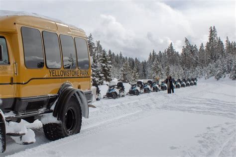 Yellowstone In Winter Guide 2024 Travel Wyoming