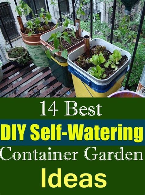 14 Best Diy Self Watering Container Garden Ideas