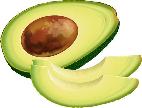 Avocado Clipart 20 Free Cliparts Download Images On Clipground 2024