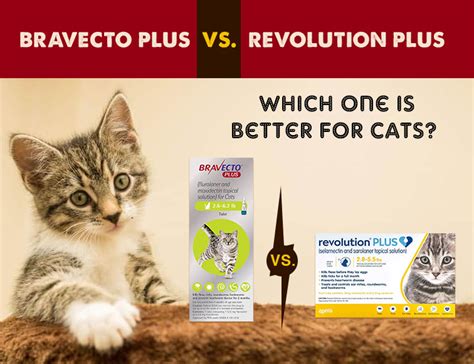 Bravecto Plus Vs Revolution Plus Which One Is Better For Cats Cat