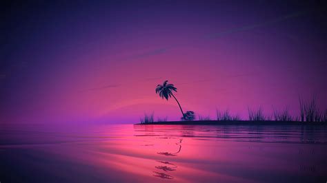 Sunset Palm Tree Scenery 4k 3161m Wallpaper Iphone Phone