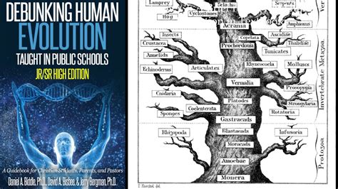 Debunking Evolution Short Youtube