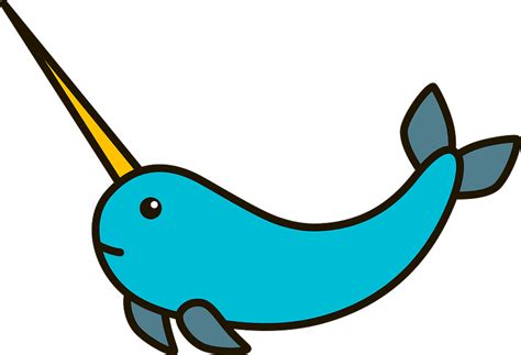 Narwhal Clipart Free Download Transparent Png Creazilla