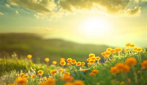 Kemudian ucapan selamat pagi lucu dan gokil, bahasa inggris, untuk sahabat, dan cinta. Kata2 Selamat Pagi Islami / 1001 Kata Ucapan Selamat Pagi ...