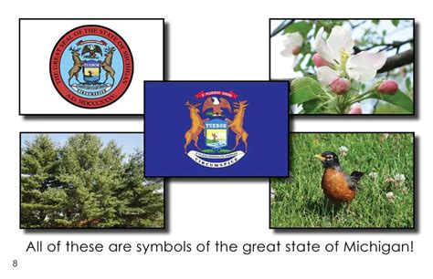 Michigan State Symbols First Grade Book Wilbooks