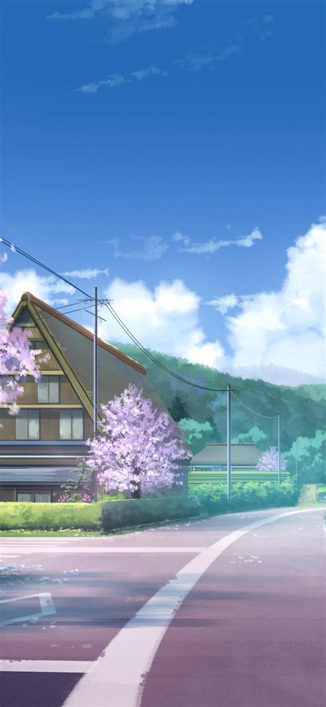 Download 1080x2340 Cherry Blossom Anime Landscape Scenic Street Sky