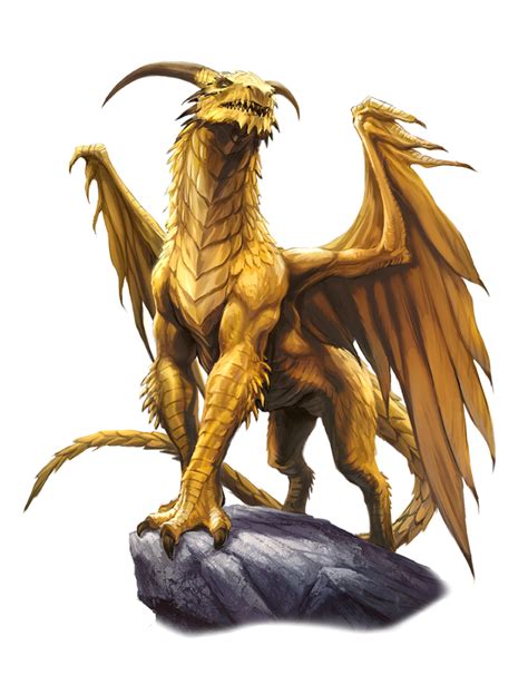 Male Ancient Gold Dragon Pathfinder 2e Pfrpg Dnd Dandd 35 5e 5th Ed