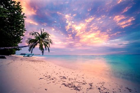 Tropical Sunset Background Wallpaper