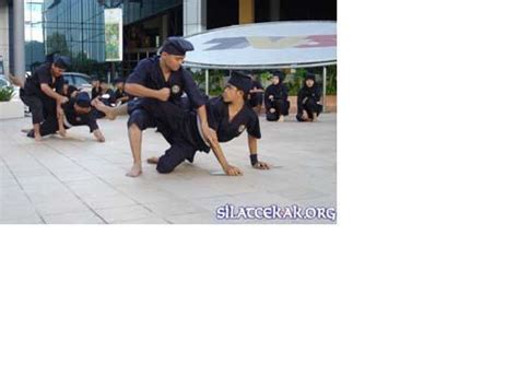 Check spelling or type a new query. Info Seni dan Budaya: Asal-Usul Silat Cekak Malaysia
