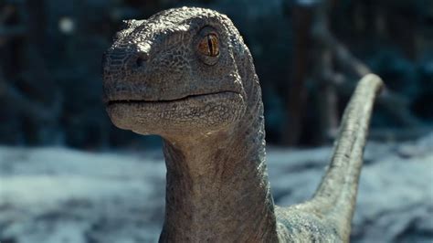 Jurassic World Dominion Trailer Breakdown Dinosaurs Rule The Earth Once Again