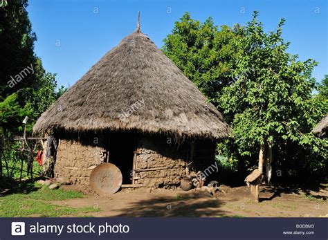 Traditional African Hut Grasshut Gojo Rift Valley