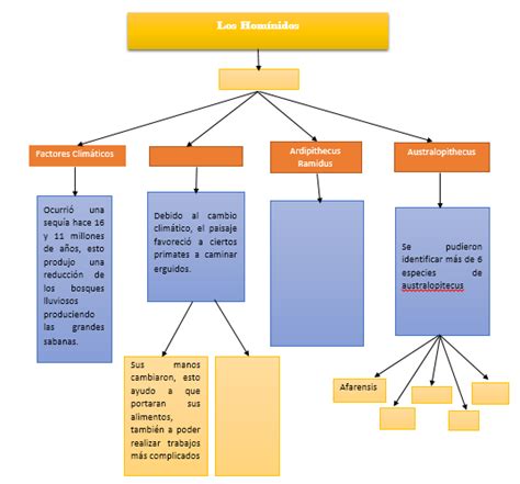 Antropólogos A Través Del Tiempo Hominidos Mapa Conceptual