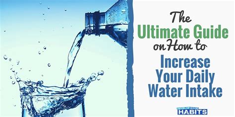 The Ultimate Guide On How To Increase Daily Water Intake