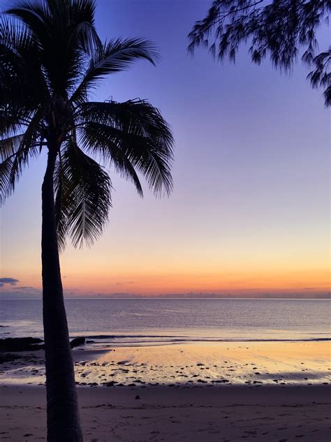 Sunrise On The Beach With Palm Trees