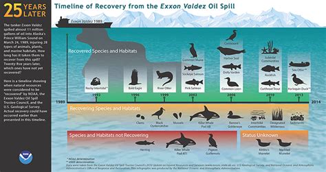 25 Years Later Timeline Of Recovery From Exxon Valdez Oil Spill