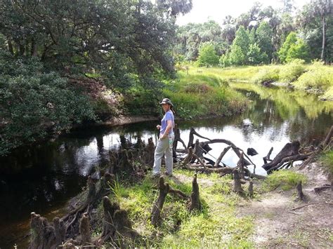 Geocaching Econ River Wilderness Area Florida Hikes