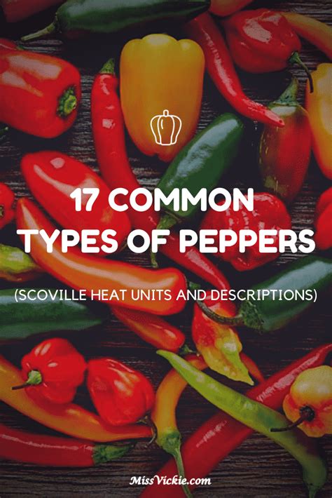 17 Common Types Of Peppers Scoville Heat Units And Descriptions