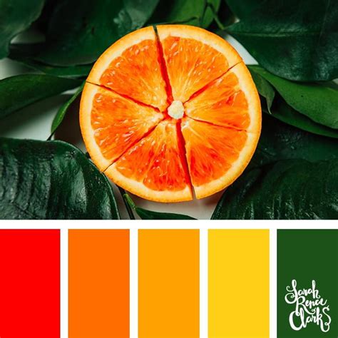 Pin By Debs Herr On Cores Orange Color Palettes Pantone Color