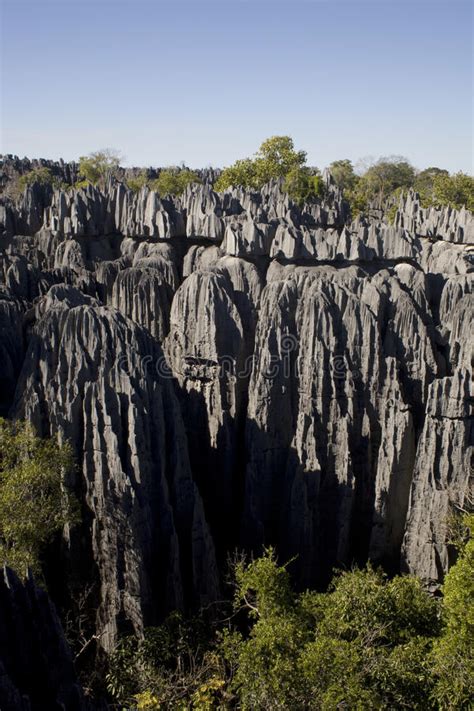 Tsingy Nationalpark Madagaskar Afrika Stockbild Bild Von Blau