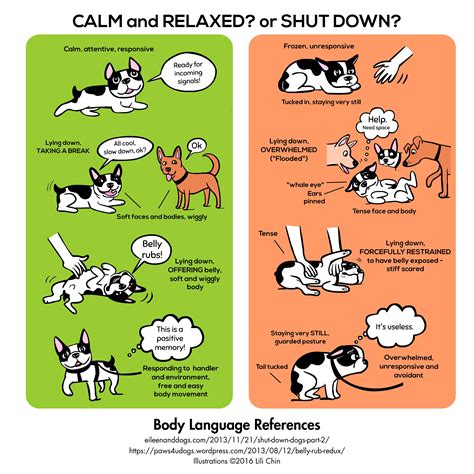 Calm And Relaxed Or Shut Down Dog Body Language Dog Behavior Dog