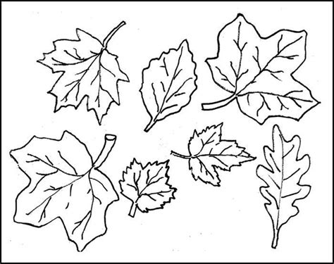 Teachers too can use these free leaf coloring pages to print for a fun filled classroom activity. Leaf Template | Printable Leaf Templates | Free & Premium ...
