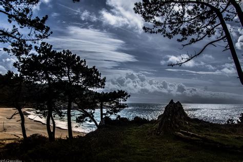 Free Images Landscape Sea Coast Tree Water Nature Forest Rock
