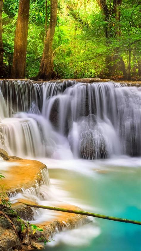 Beautiful Waterfall Stream In Green Trees Forest Background 4k Hd