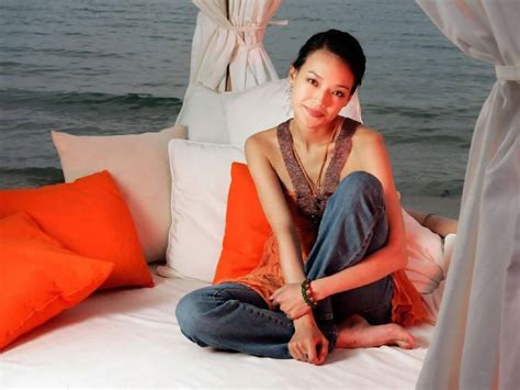 Shu Qi Nude Pictures