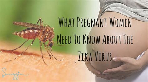 The Zika Virus 7 Facts Pregnant Women Need To Know Snuggin