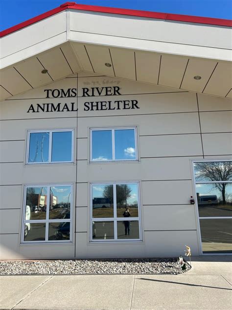 Toms River Animal Shelter shut down, mayor rejects push to force repeal