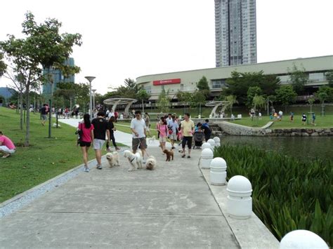 Once an abandoned quarry site, desa parkcity is now a mixed development located on the outskirts of kuala lumpur designed to embody the concept of live, work and play. Ibi Benefici Locus Est: World Animal Day Celebrations at ...