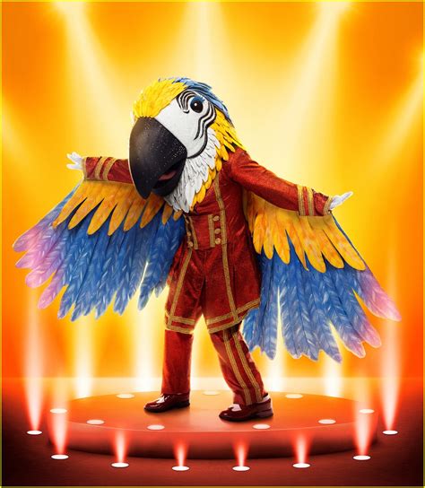 Who Is Macaw On The Masked Singer Season 9 Clues Guesses