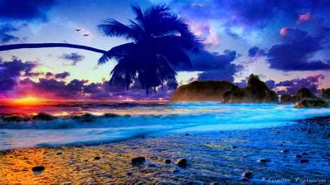 Free Download Tropical Sunset Wallpaper Forwallpapercom 969x545 For