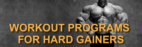 Workout Programs For Hard Gainers