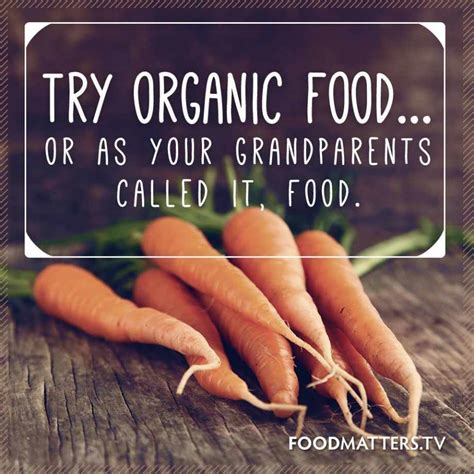 Top 4 Organic Food Quotes And Sayings