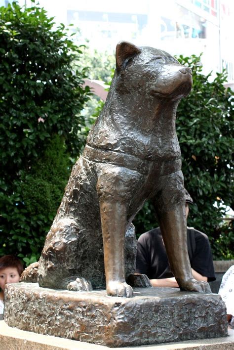Hachiko Statue Shibuya Tokyo Hachikō Was An Akita Dog Born In The