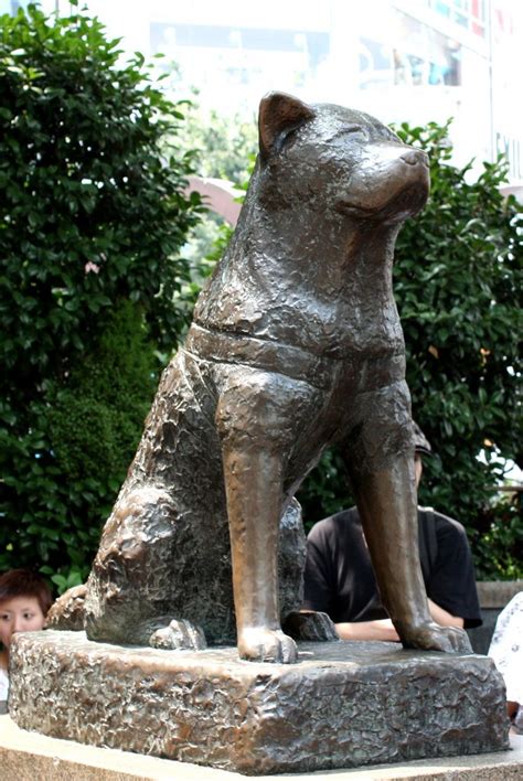 Hachiko Statue Shibuya Tokyo Akita Dog Tokyo Japan Japan Travel