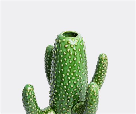Cactus Vase Large By Serax Vases Frankbros